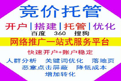 推广竞价策略优化：借鉴成功案例实现精准营销